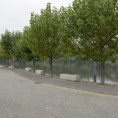 Encosta Do Douro - Rio Douro Villa Cinfaes Ngoại thất bức ảnh