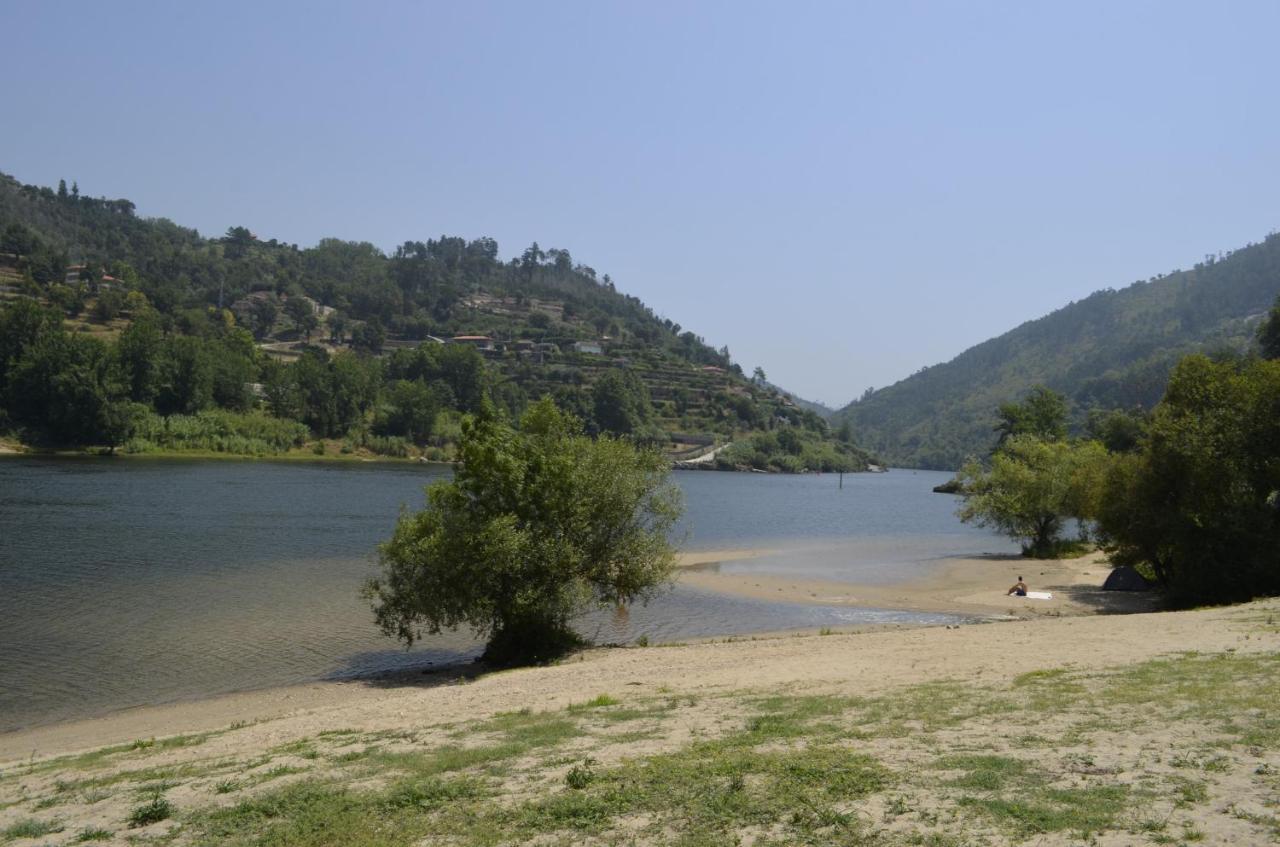 Encosta Do Douro - Rio Douro Villa Cinfaes Ngoại thất bức ảnh