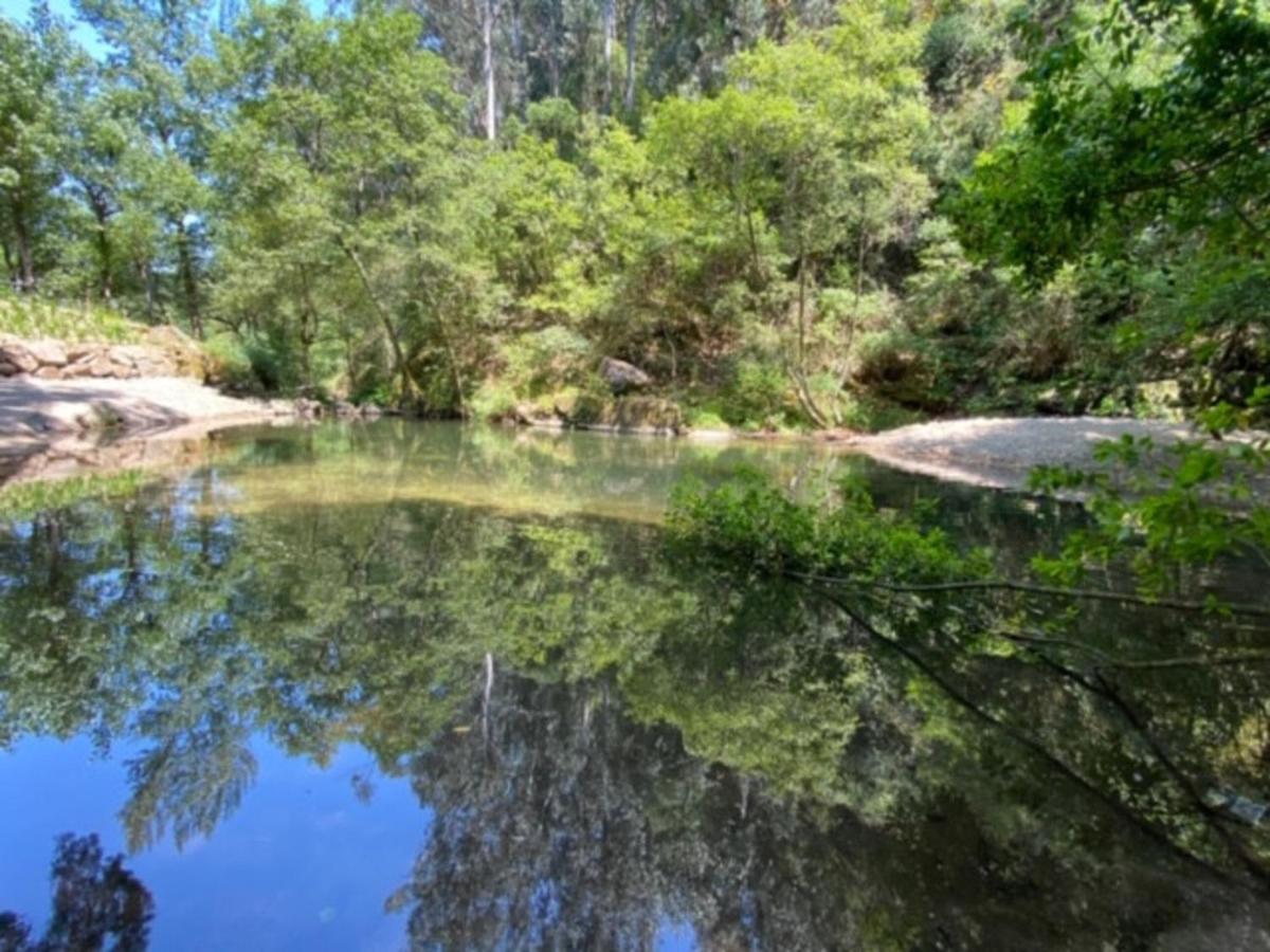 Encosta Do Douro - Rio Douro Villa Cinfaes Ngoại thất bức ảnh