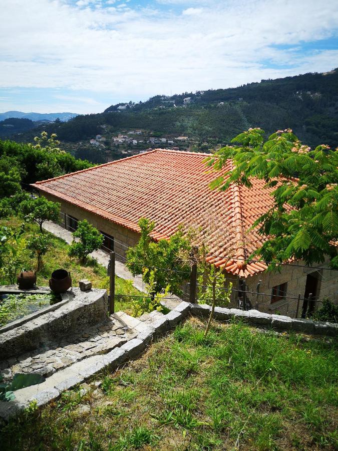 Encosta Do Douro - Rio Douro Villa Cinfaes Ngoại thất bức ảnh