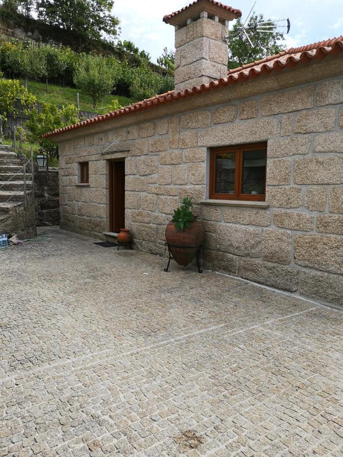 Encosta Do Douro - Rio Douro Villa Cinfaes Ngoại thất bức ảnh