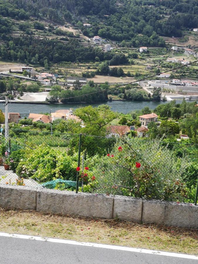 Encosta Do Douro - Rio Douro Villa Cinfaes Ngoại thất bức ảnh
