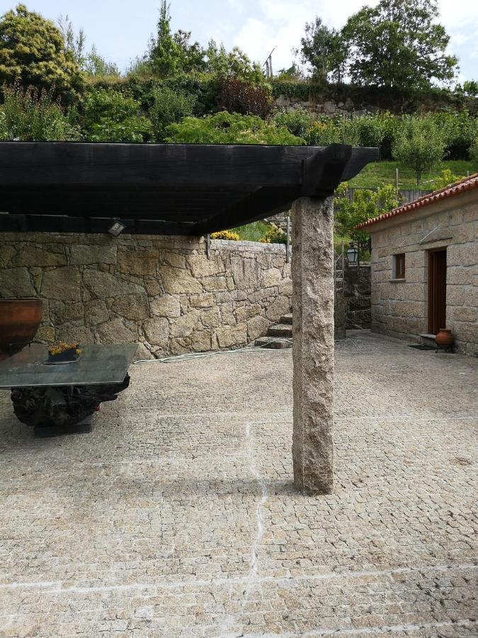 Encosta Do Douro - Rio Douro Villa Cinfaes Ngoại thất bức ảnh