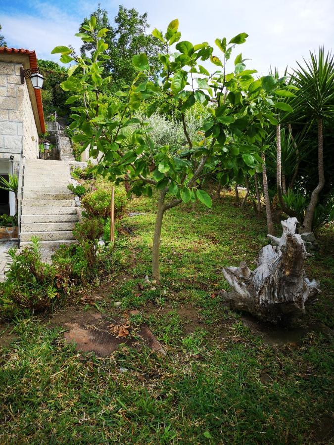Encosta Do Douro - Rio Douro Villa Cinfaes Ngoại thất bức ảnh