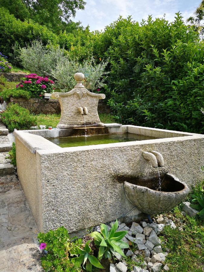 Encosta Do Douro - Rio Douro Villa Cinfaes Ngoại thất bức ảnh