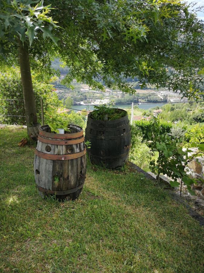 Encosta Do Douro - Rio Douro Villa Cinfaes Ngoại thất bức ảnh