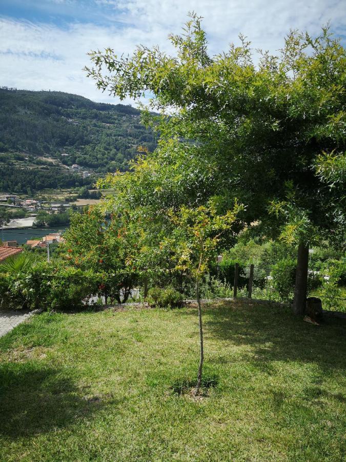 Encosta Do Douro - Rio Douro Villa Cinfaes Ngoại thất bức ảnh