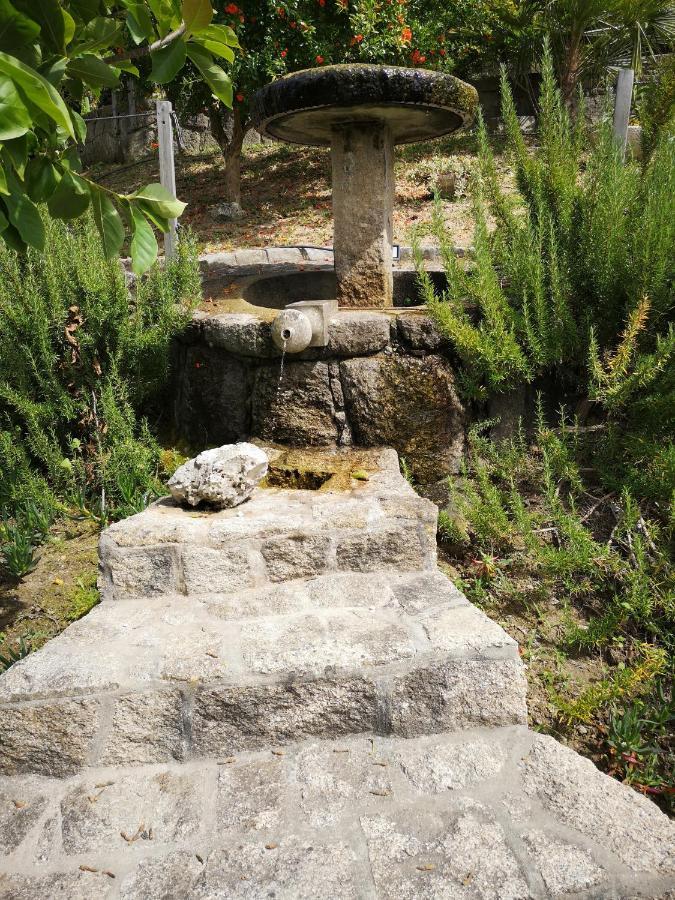 Encosta Do Douro - Rio Douro Villa Cinfaes Ngoại thất bức ảnh