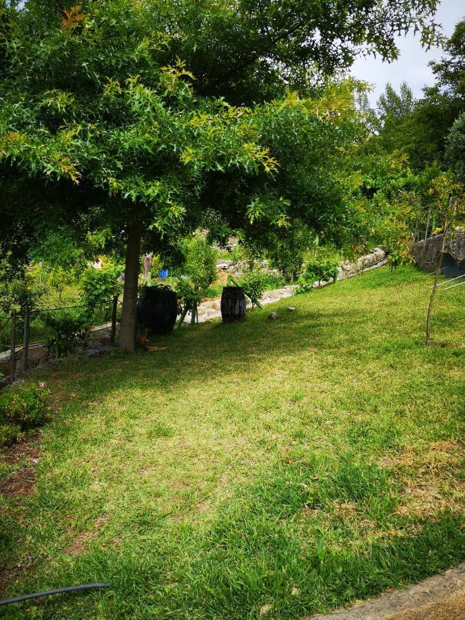 Encosta Do Douro - Rio Douro Villa Cinfaes Ngoại thất bức ảnh